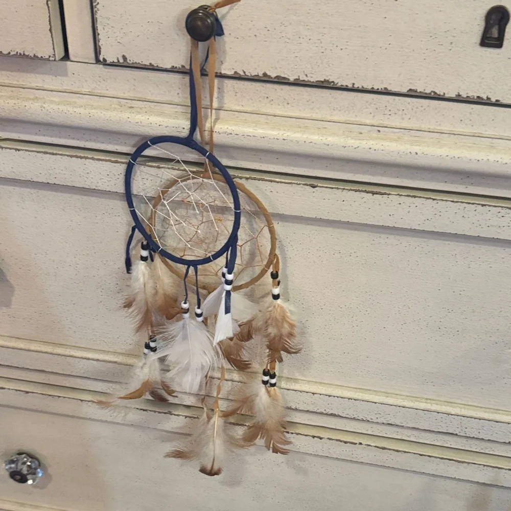 Blue and Tan Dreamcatcher Wall Decor